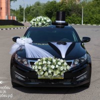 смокинг жениха и фата невесты на машине